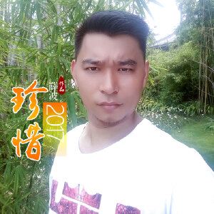 薛菠《珍惜2017》歌词歌曲LRC下载