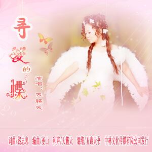 天籁天《寻梦的蝶》歌词歌曲LRC下载