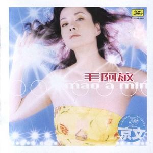 毛阿敏《同一首歌》歌词歌曲LRC下载