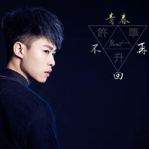 许华升《青春不再回》歌词歌曲LRC下载