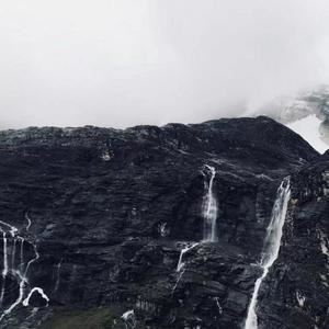 金枝《林泉仙踪》歌词