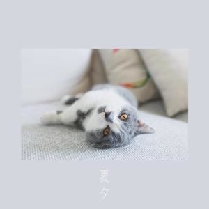 夏夕《像鱼》歌词歌曲LRC下载