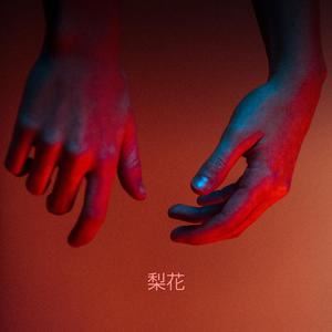 林三《梨花》歌词歌曲LRC下载