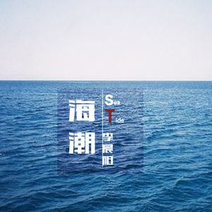 李晨阳《海潮》歌词歌曲LRC下载