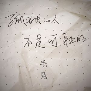 毛凫《何鑫》歌词歌曲LRC下载