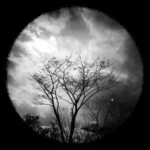 王彦清《黑色羽翼》歌词歌曲LRC下载