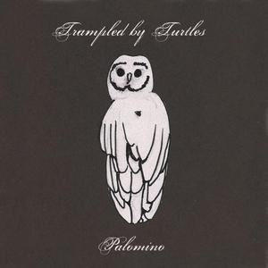 Trampled by Turtles《Feet and Bones》歌词