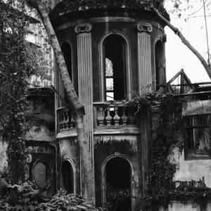 金枝《小岛海星》歌词