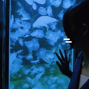 蓝千若《希.》歌词歌曲LRC下载