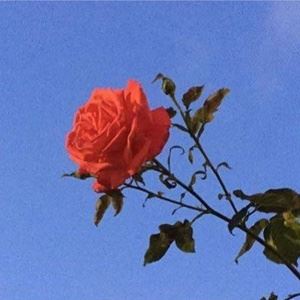 Corbin《american boy》歌词歌曲LRC下载