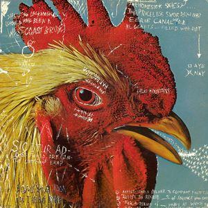 Pavement《Frontwards》歌词歌曲LRC下载