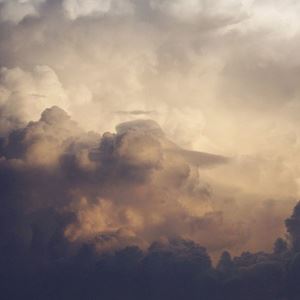 Gill Chang《Curious Elephants》歌词