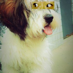 王斗《成都》歌词歌曲LRC下载