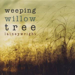 Lainey Wright《Weeping Willow Tree》歌词歌曲LRC下载