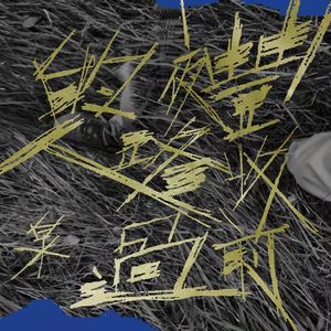 白水《小丑预言之疯王来了》歌词歌曲LRC下载