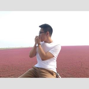 刘畅《reason蓝色生死恋插曲（布鲁斯口琴）》歌词歌曲LRC下载