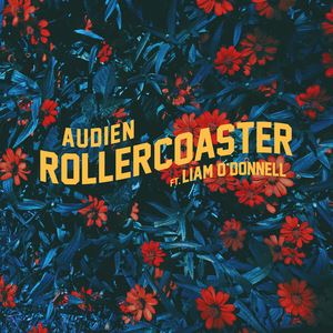 Audien《Rollercoaster》歌词歌曲LRC下载