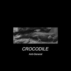 Anti-General《Crocodile》歌词