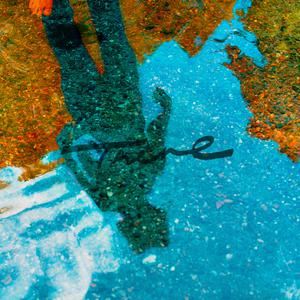 The fin.《Shedding》歌词歌曲LRC下载