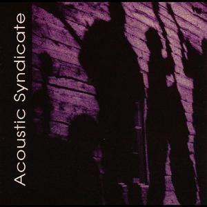 Acoustic Syndicate《Brown Mountain Lights》歌词歌曲LRC下载