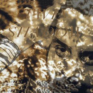 Twin Shadow《Forget》歌词歌曲LRC下载