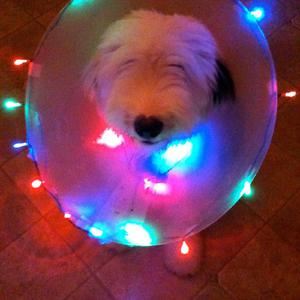 Wooden Wand《I Wanna Make a Difference》歌词歌曲LRC下载