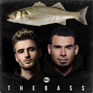 Afrojack《The Bass (Extended Mix)》歌词歌曲LRC下载