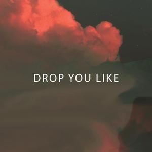 Delax《Drop You Like》歌词歌曲LRC下载