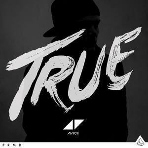 Avicii《Canyons》歌词歌曲LRC下载