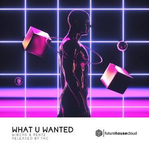 Wiberg《What U Wanted》歌词歌曲LRC下载