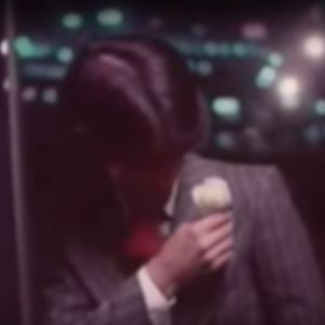 猫 シ Corp.《Moonlit Walk》歌词