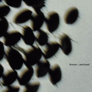 Fluxion《Elation》歌词歌曲LRC下载