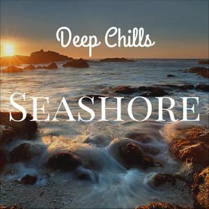 Deep Chills《Seashore》歌词