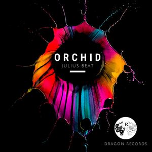 Julius Beat《Orchid (Extended Mix)》歌词歌曲LRC下载