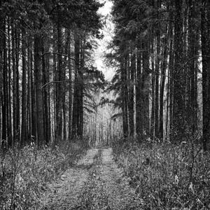 Tez Cadey《Love Is All (Tez Cadey Edit)》歌词歌曲LRC下载