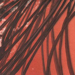 Recloose《M.I.A.》歌词歌曲LRC下载