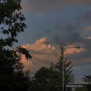 Ólafur Arnalds《ekki hugsa》歌词歌曲LRC下载