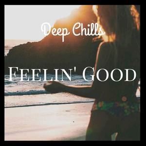 Deep Chills《Feelin' Good》歌词