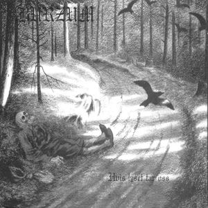 Burzum《Tomhet》歌词歌曲LRC下载