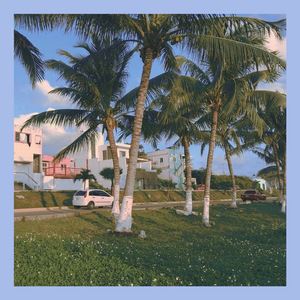 Easy Mind《Starlight》歌词歌曲LRC下载