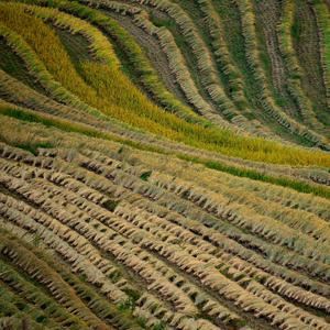 牧羊人《大地的回聲》歌词