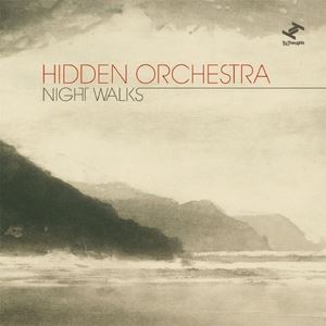 Hidden Orchestra《Dust》歌词歌曲LRC下载