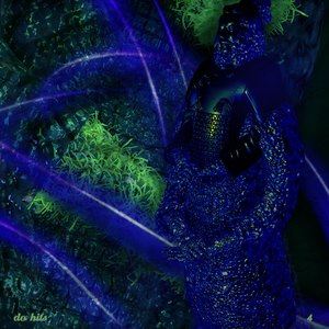 Yider《Data Forest》歌词