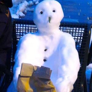 SpacePig《the girl under the bed》歌词歌曲LRC下载