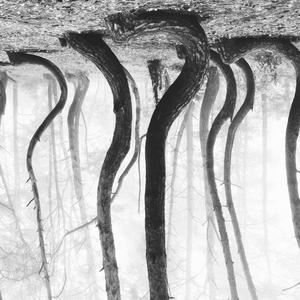 严俊《Only You》歌词歌曲LRC下载