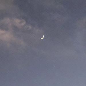 Shiloh Dynasty《this is for my girl.》歌词歌曲LRC下载