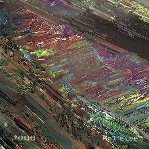 Howie Lee《扑焰蝇》歌词