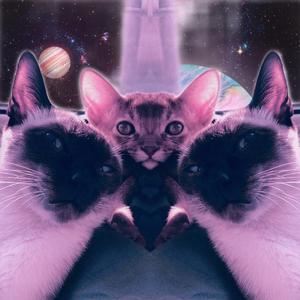 NORA FU《Disguiser》歌词歌曲LRC下载