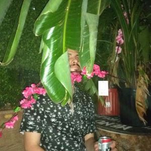 Flamingosis《not like the others》歌词