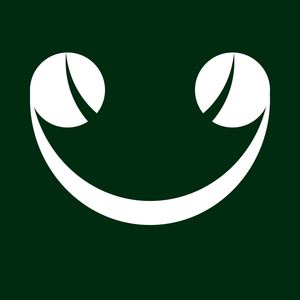 FDZ《你想成为你不喜欢的人》歌词歌曲LRC下载